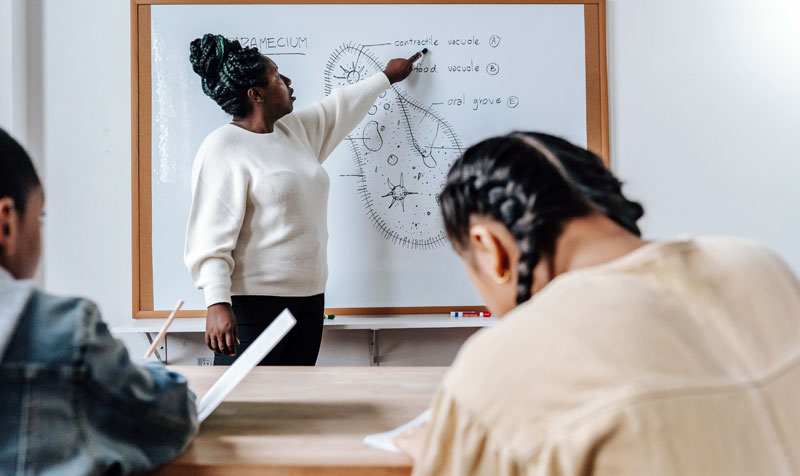 Teacher leading a classroom lesson
